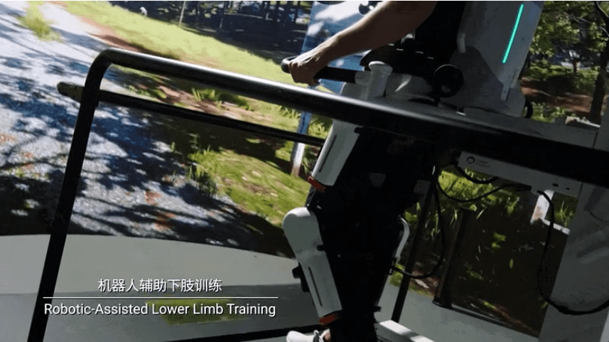 Robot-assisted lower limb training